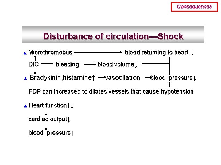 Consequences Disturbance of circulation---Shock ▲ Microthromobus DIC ▲ bleeding Bradykinin, histamine↑ blood returning to