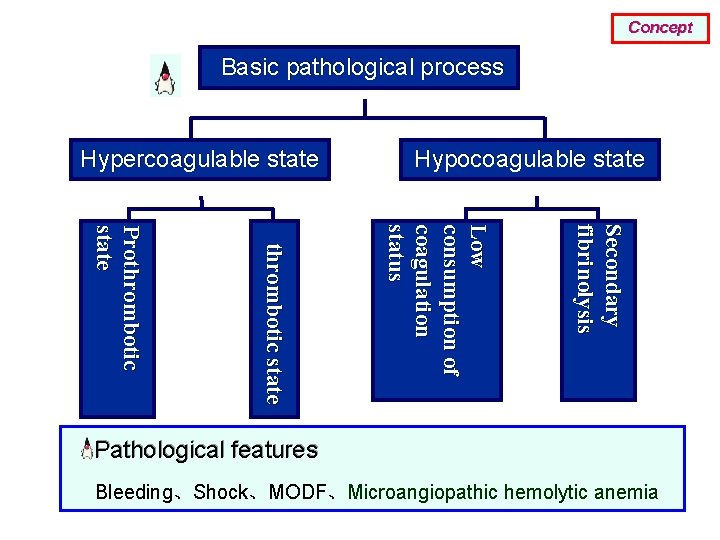 Concept Basic pathological process Hypercoagulable state Hypocoagulable state Secondary fibrinolysis Low consumption of coagulation