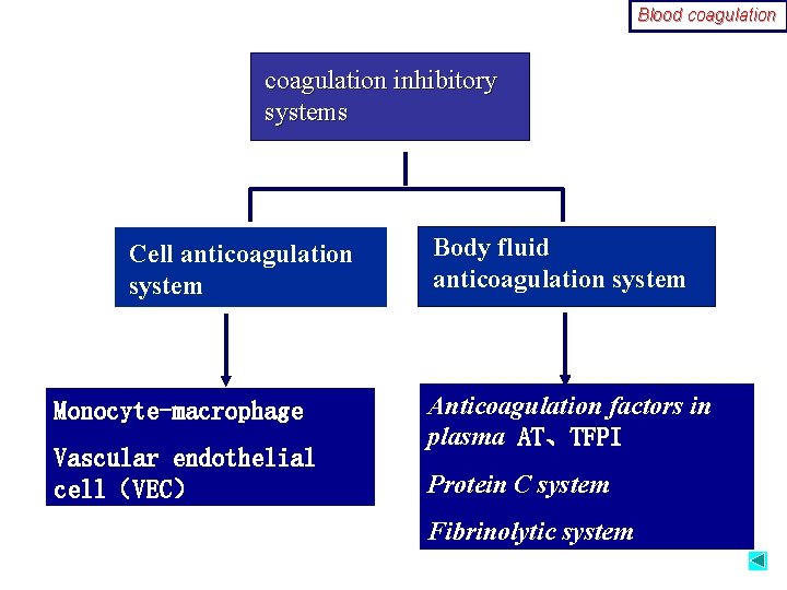 Blood coagulation inhibitory systems Cell anticoagulation system Monocyte-macrophage Vascular endothelial cell（VEC） Body fluid anticoagulation