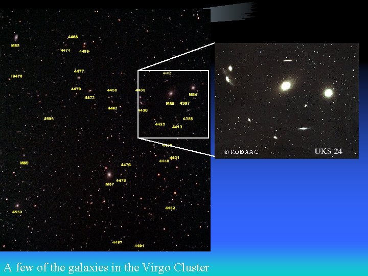 A few of the galaxies in the Virgo Cluster 