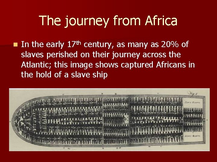 The journey from Africa n In the early 17 th century, as many as