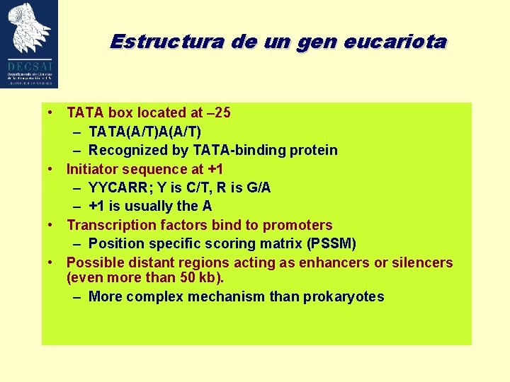 Estructura de un gen eucariota • TATA box located at – 25 – TATA(A/T)