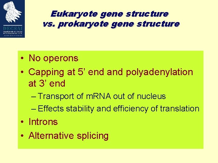Eukaryote gene structure vs. prokaryote gene structure • No operons • Capping at 5’