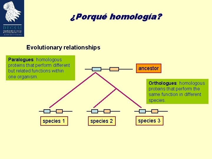 ¿Porqué homología? Evolutionary relationships Paralogues: homologous proteins that perform different but related functions within