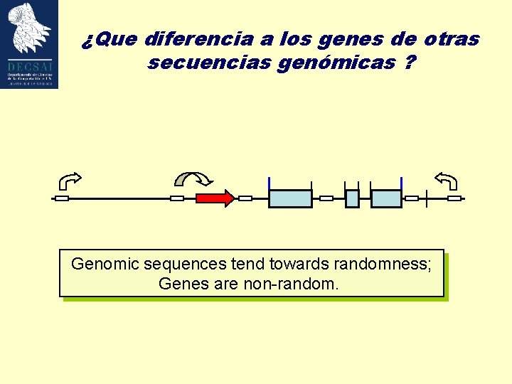 ¿Que diferencia a los genes de otras secuencias genómicas ? Genomic sequences tend towards