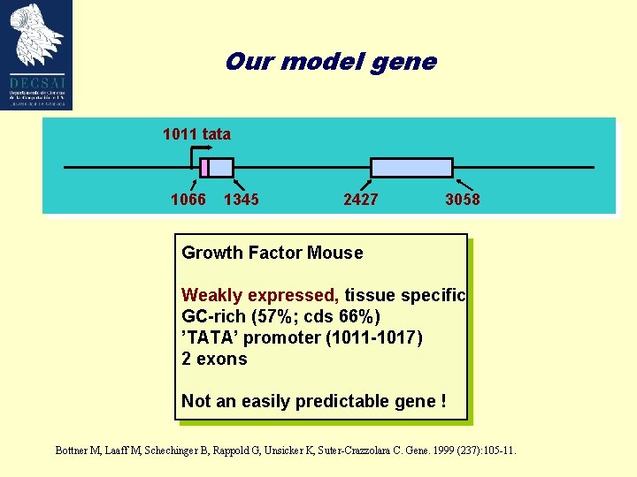 Our model gene 1011 tata 1066 1345 2427 3058 Growth Factor Mouse Weakly expressed,