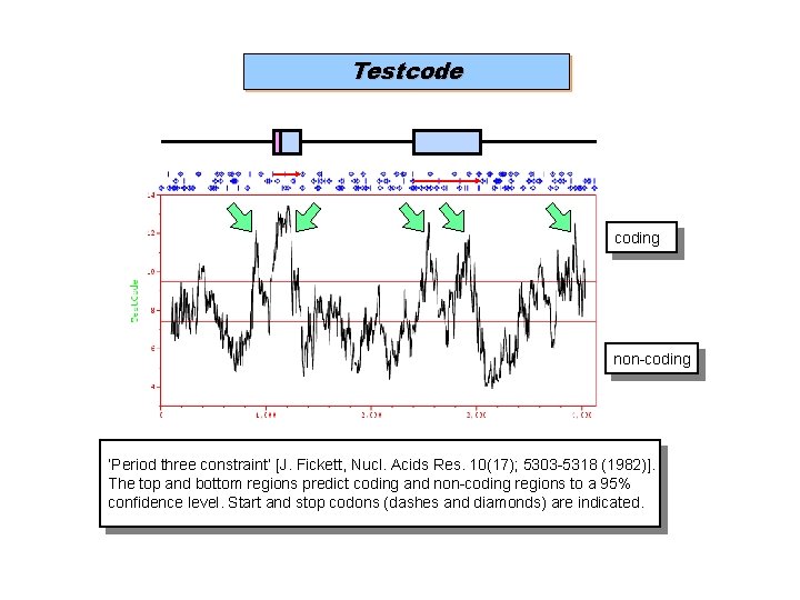 Testcode coding non-coding ‘Period three constraint’ [J. Fickett, Nucl. Acids Res. 10(17); 5303 -5318