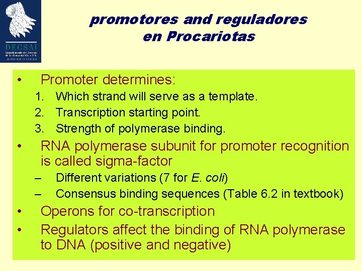 promotores and reguladores en Procariotas • Promoter determines: 1. Which strand will serve as