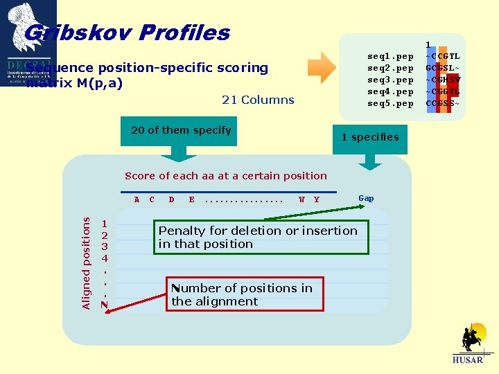 Gribskov Profiles seq 1. pep seq 2. pep seq 3. pep seq 4. pep