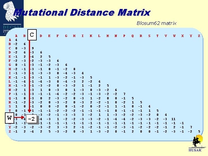 Mutational Distance Matrix Blosum 62 matrix A B C D E F G H