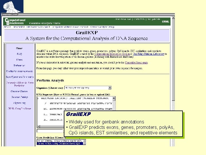 Grail. EXP • Widely used for genbank annotations • Grail. EXP predicts exons, genes,