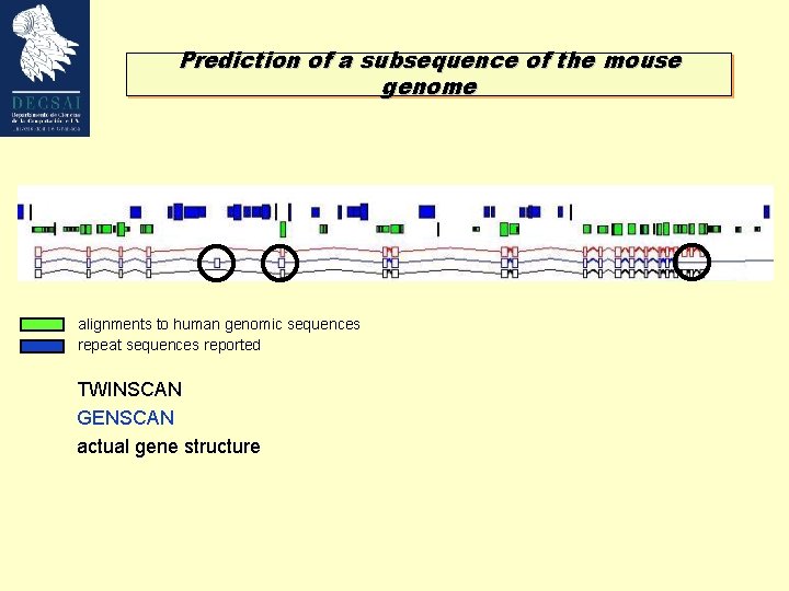 Prediction of a subsequence of the mouse genome alignments to human genomic sequences repeat