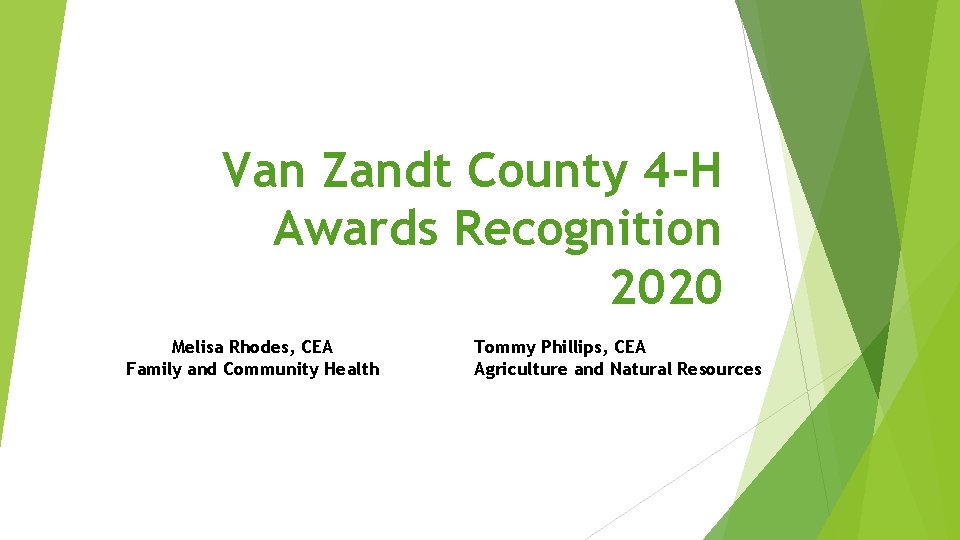 Van Zandt County 4 -H Awards Recognition 2020 Melisa Rhodes, CEA Family and Community