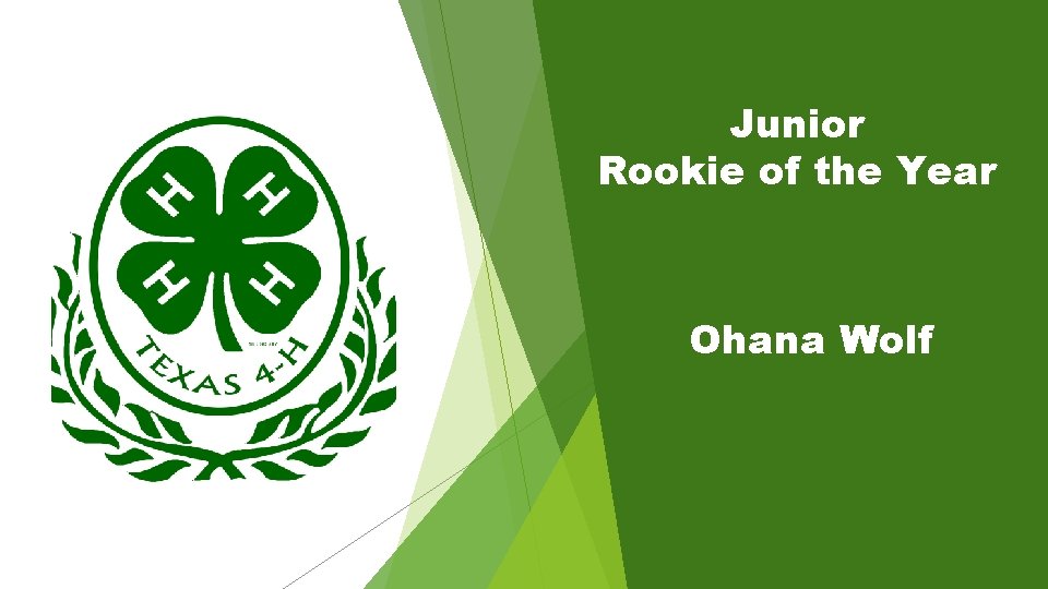 Junior Rookie of the Year Ohana Wolf 