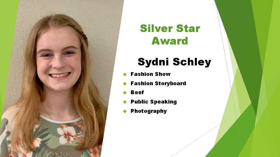 Silver Star Award Sydni Schley Fashion Show Fashion Storyboard Beef Public Speaking Photography 