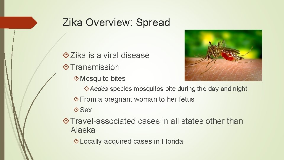 Zika Overview: Spread Zika is a viral disease Transmission Mosquito bites Aedes species mosquitos