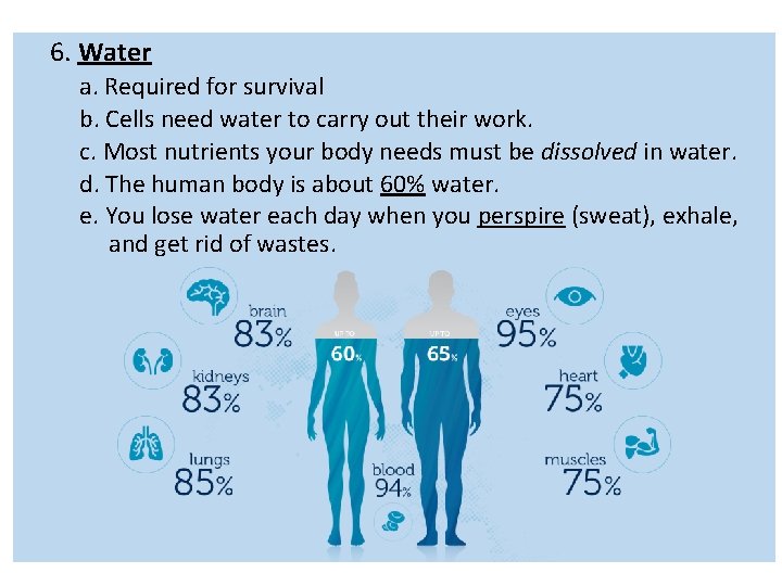 6. Water a. Required for survival b. Cells need water to carry out their 6. Water a. Required for survival b. Cells need water to carry out their