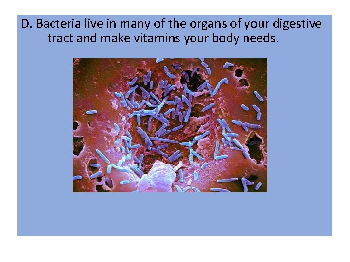 D. Bacteria live in many of the organs of your digestive tract and make D. Bacteria live in many of the organs of your digestive tract and make