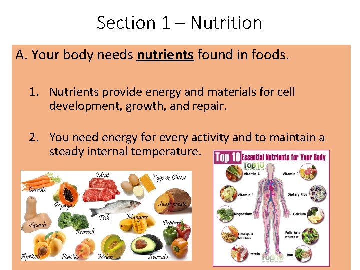 Section 1 – Nutrition A. Your body needs nutrients found in foods. 1. Nutrients Section 1 – Nutrition A. Your body needs nutrients found in foods. 1. Nutrients