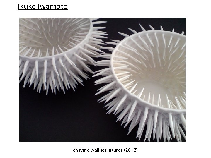 Ikuko Iwamoto ensyme wall sculptures (2008) 