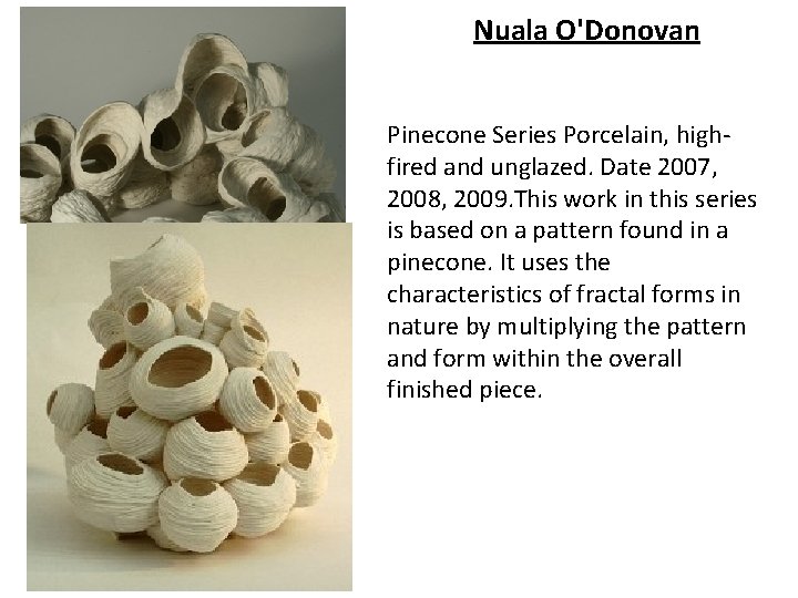 Nuala O'Donovan Pinecone Series Porcelain, highfired and unglazed. Date 2007, 2008, 2009. This work