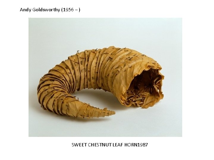Andy Goldsworthy (1956 − ) SWEET CHESTNUT LEAF HORN 1987 