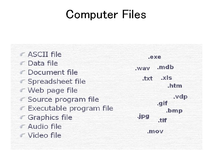 Computer Files Computer Files
