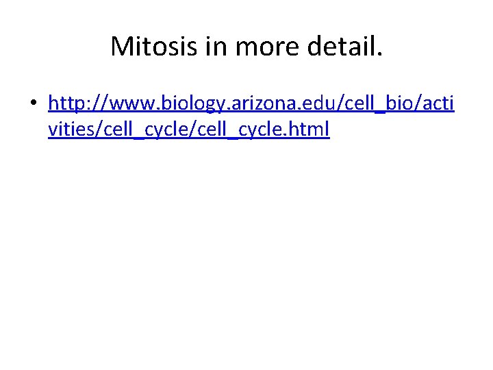 Mitosis in more detail. • http: //www. biology. arizona. edu/cell_bio/acti vities/cell_cycle. html Mitosis in more detail. • http: //www. biology. arizona. edu/cell_bio/acti vities/cell_cycle. html