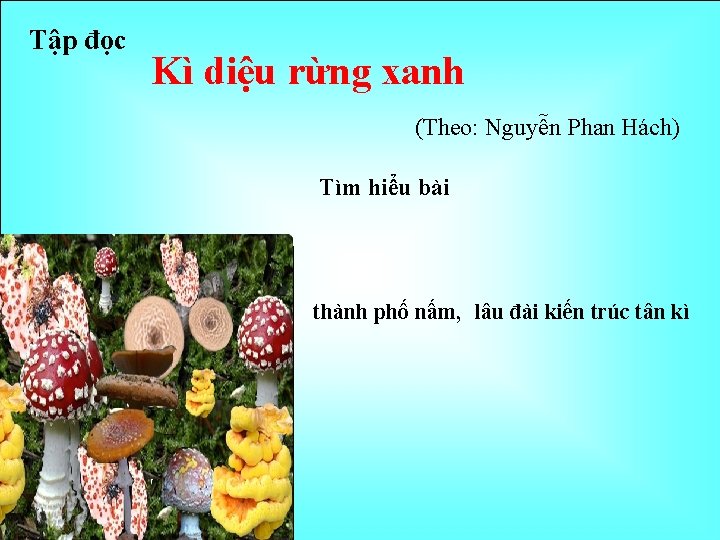 Tập đọc Kì diệu rừng xanh (Theo: Nguyễn Phan Hách) Tìm hiểu bài thành