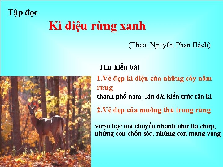 Tập đọc Kì diệu rừng xanh (Theo: Nguyễn Phan Hách) Tìm hiểu bài 1.