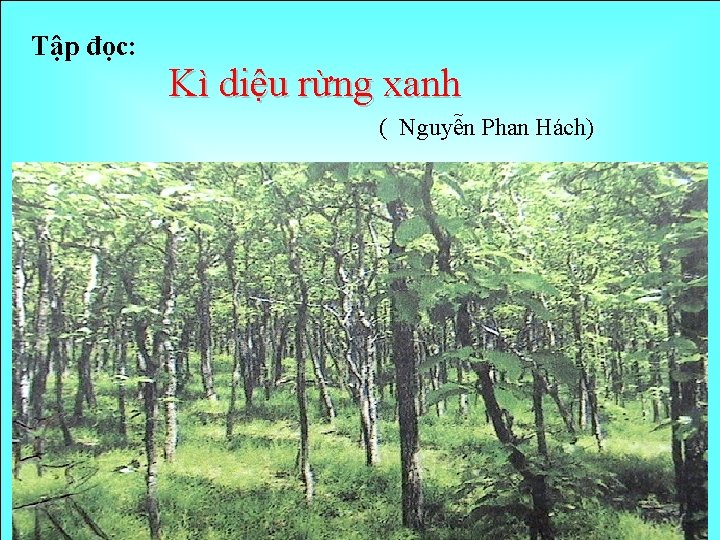 Tập đọc: Kì diệu rừng xanh ( Nguyễn Phan Hách) 