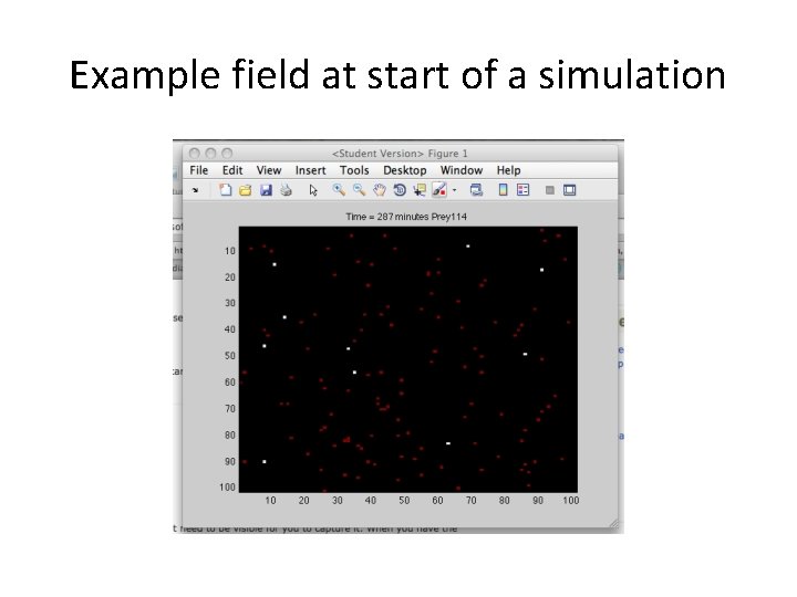 Example field at start of a simulation 