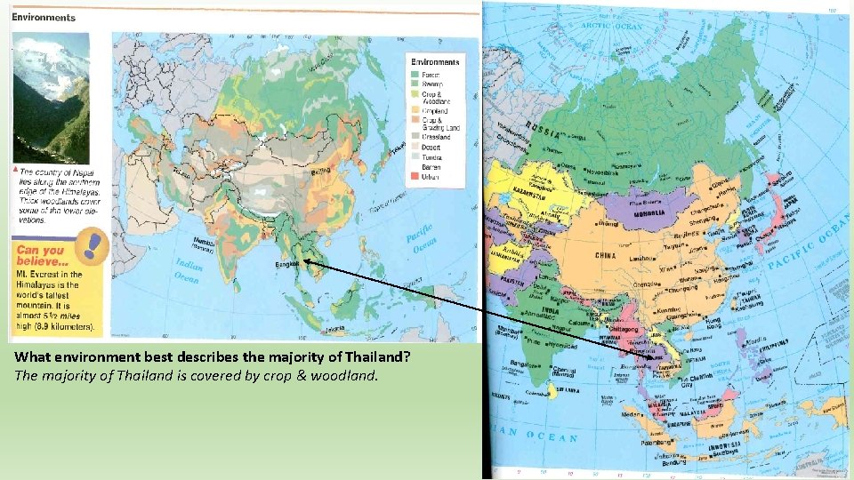 What environment best describes the majority of Thailand? The majority of Thailand is covered