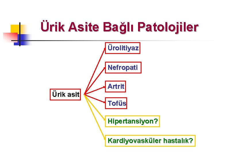 Ürik Asite Bağlı Patolojiler Ürolitiyaz Nefropati Artrit Ürik asit Tofüs Hipertansiyon? Kardiyovasküler hastalık? 