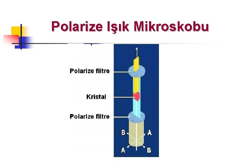 Polarize Işık Mikroskobu 