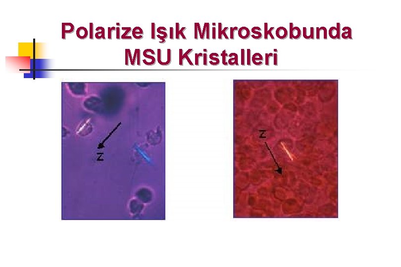 Polarize Işık Mikroskobunda MSU Kristalleri 