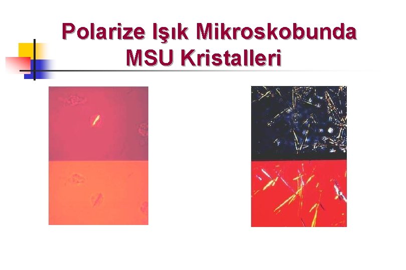 Polarize Işık Mikroskobunda MSU Kristalleri 