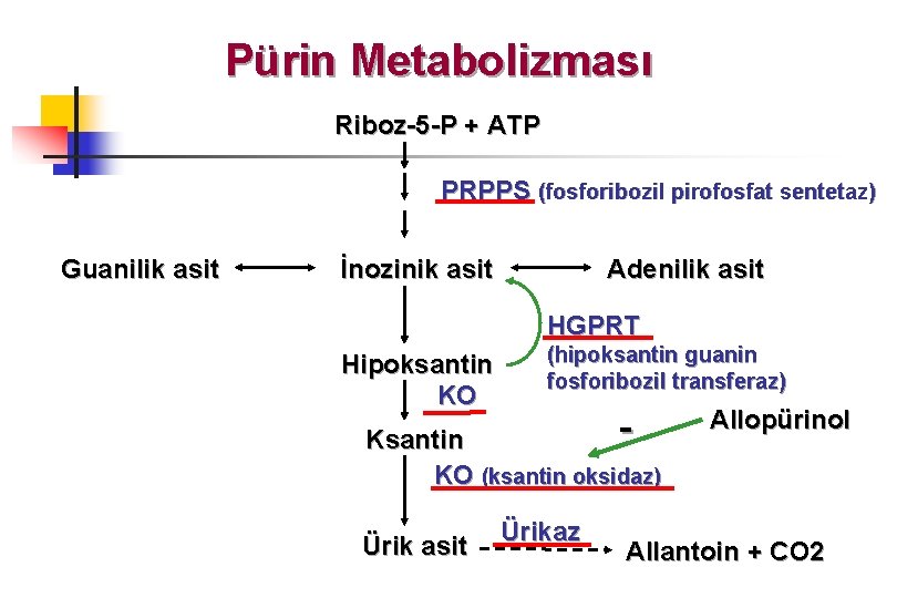 Pürin Metabolizması Riboz-5 -P + ATP PRPPS (fosforibozil pirofosfat sentetaz) Guanilik asit İnozinik asit