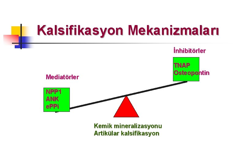 Kalsifikasyon Mekanizmaları İnhibitörler TNAP Osteopontin Mediatörler NPP 1 ANK e. PPi Kemik mineralizasyonu Artikülar