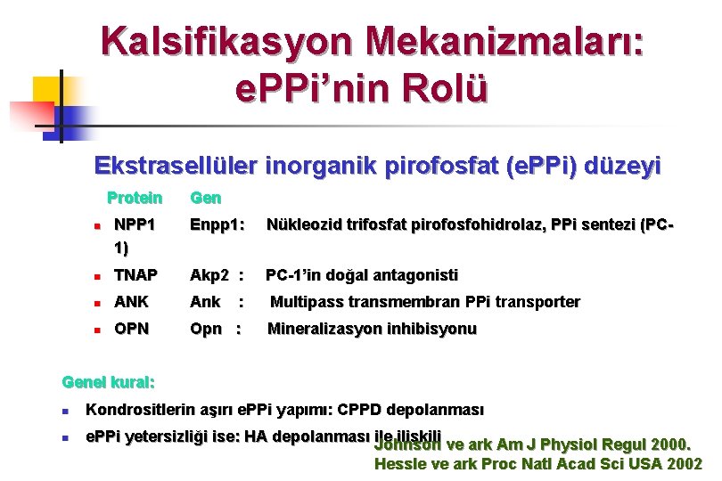 Kalsifikasyon Mekanizmaları: e. PPi’nin Rolü Ekstrasellüler inorganik pirofosfat (e. PPi) düzeyi Protein Gen NPP