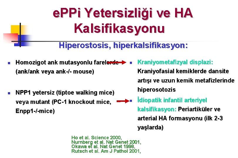 e. PPi Yetersizliği ve HA Kalsifikasyonu Hiperostosis, hiperkalsifikasyon: n Homozigot ank mutasyonlu farelerde n