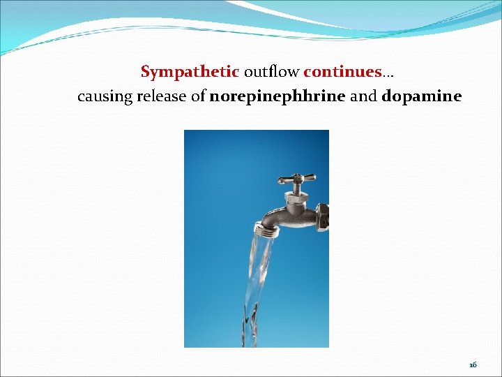 Sympathetic outflow continues… causing release of norepinephhrine and dopamine 16 