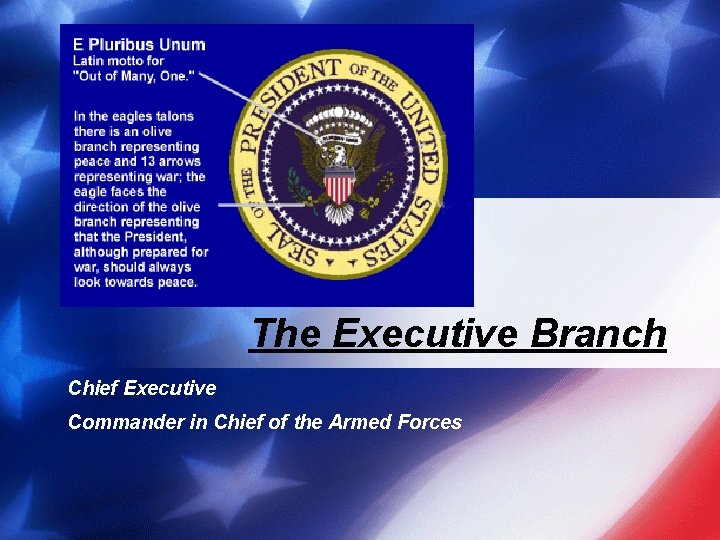 The Executive Branch Chief Executive Commander in Chief of the Armed Forces 