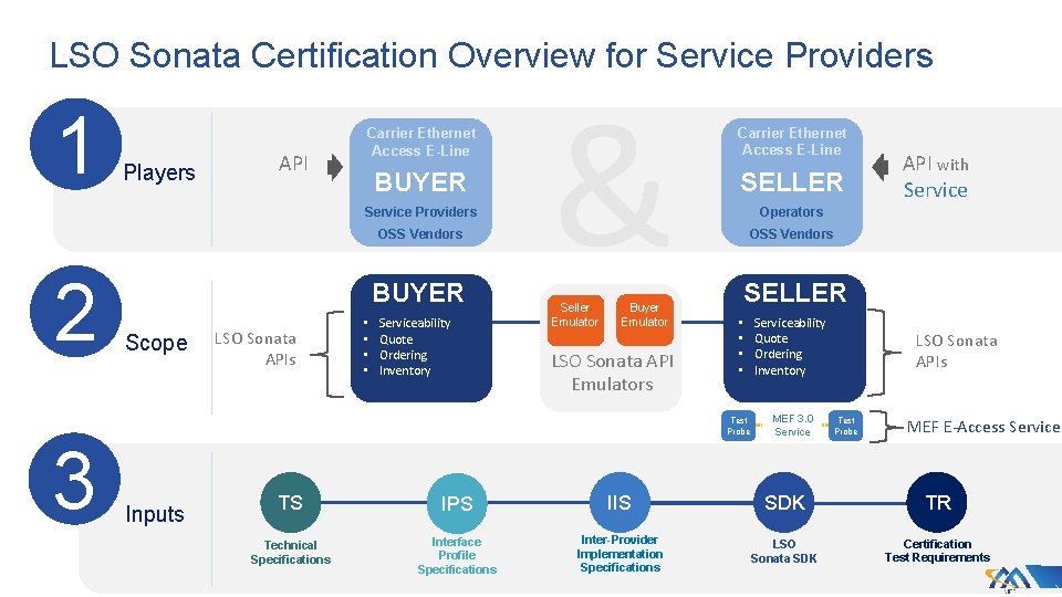 LSO Sonata Certification Overview for Service Providers 1 Players API Carrier Ethernet Access E-Line