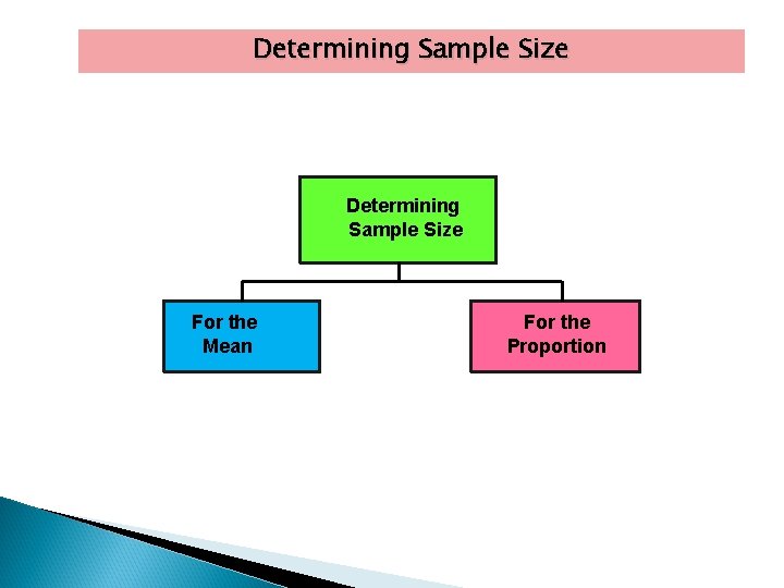 Determining Sample Size For the Mean For the Proportion 