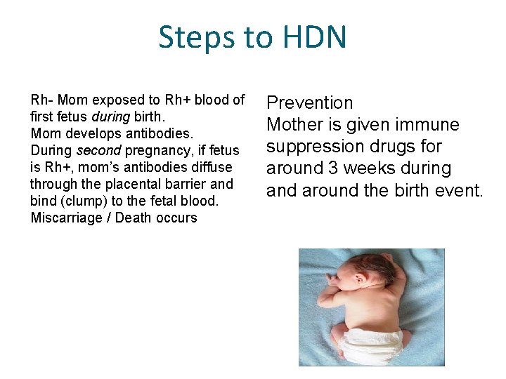 Steps to HDN Rh- Mom exposed to Rh+ blood of first fetus during birth.