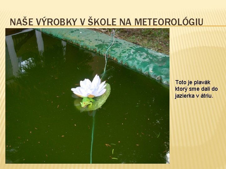 NAŠE VÝROBKY V ŠKOLE NA METEOROLÓGIU Toto je plavák ktorý sme dali do jazierka NAŠE VÝROBKY V ŠKOLE NA METEOROLÓGIU Toto je plavák ktorý sme dali do jazierka