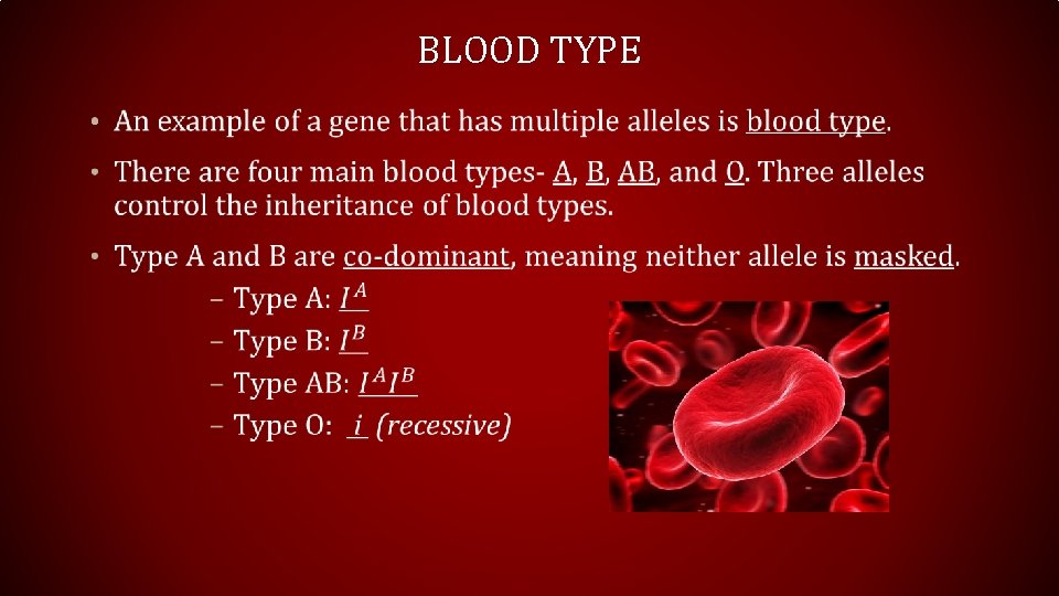 BLOOD TYPE • 