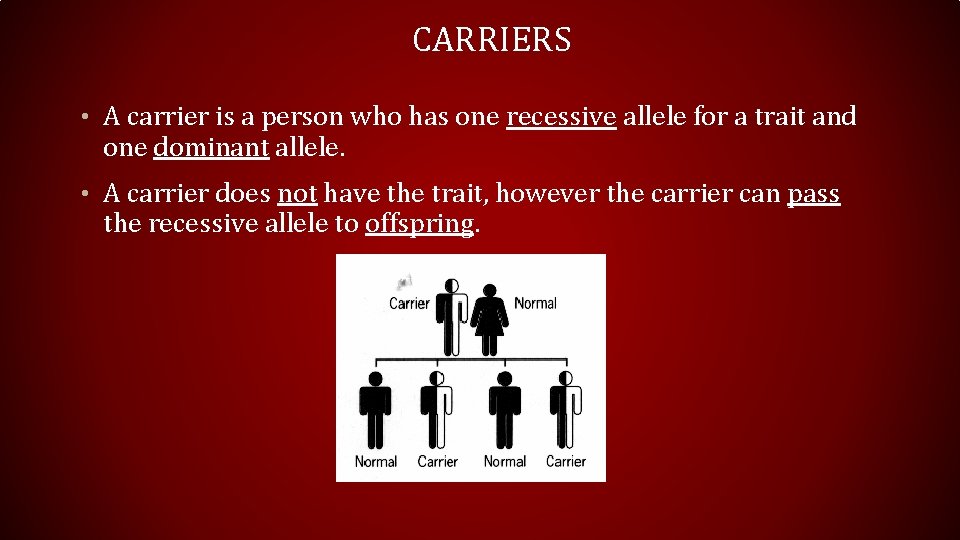 CARRIERS • A carrier is a person who has one recessive allele for a
