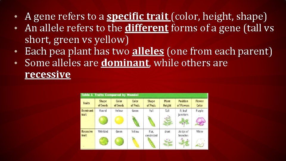  • A gene refers to a specific trait (color, height, shape) • An
